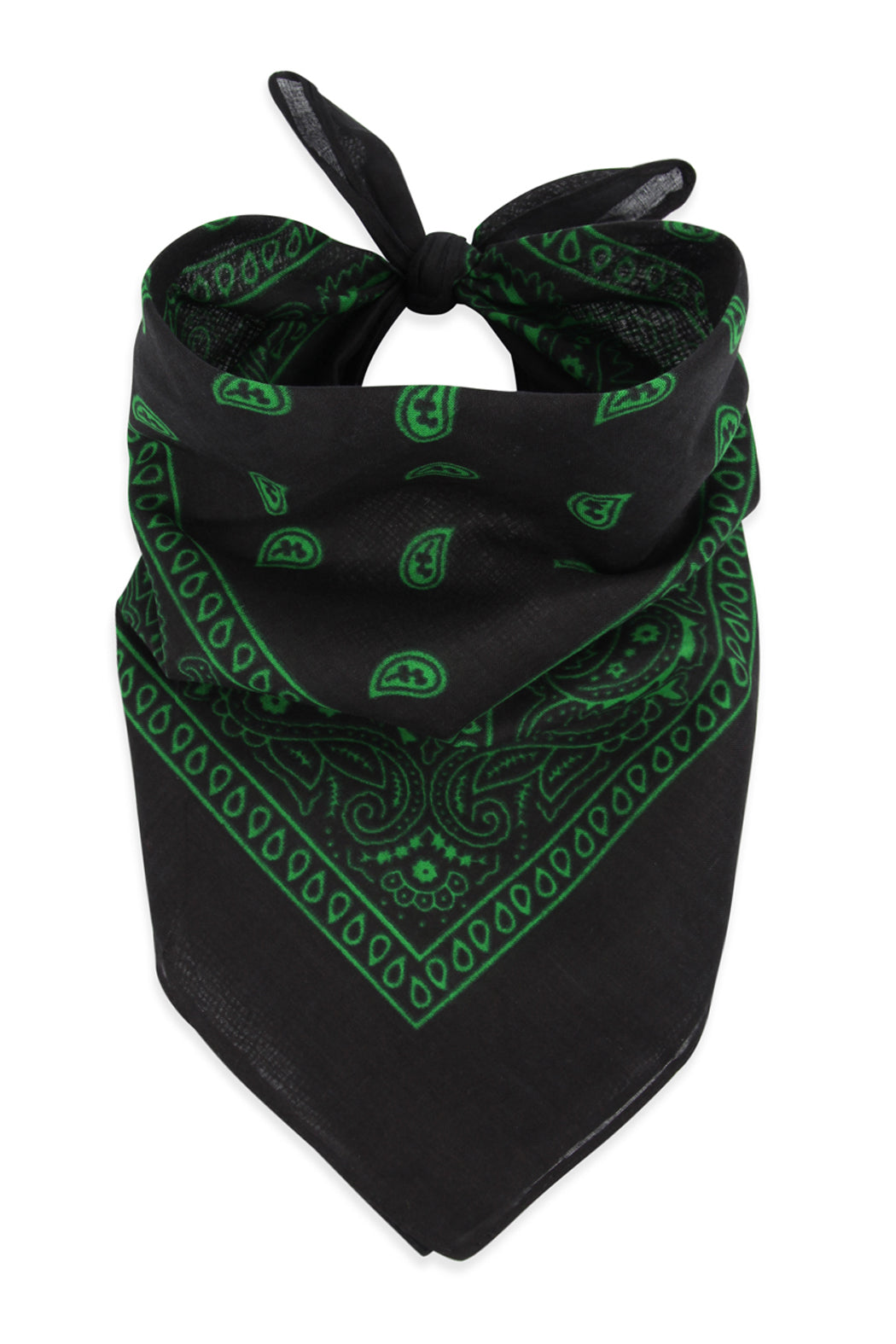 Paisley Print Bandana