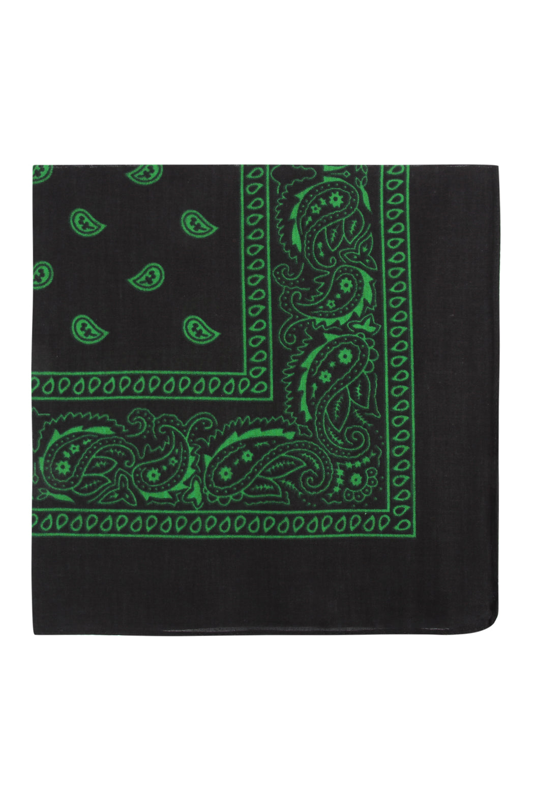 Paisley Print Bandana