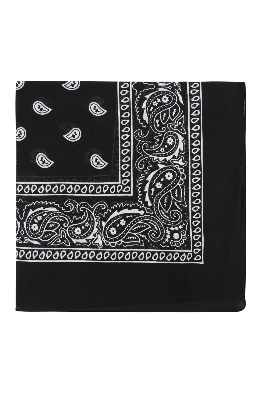 Paisley Print Bandana