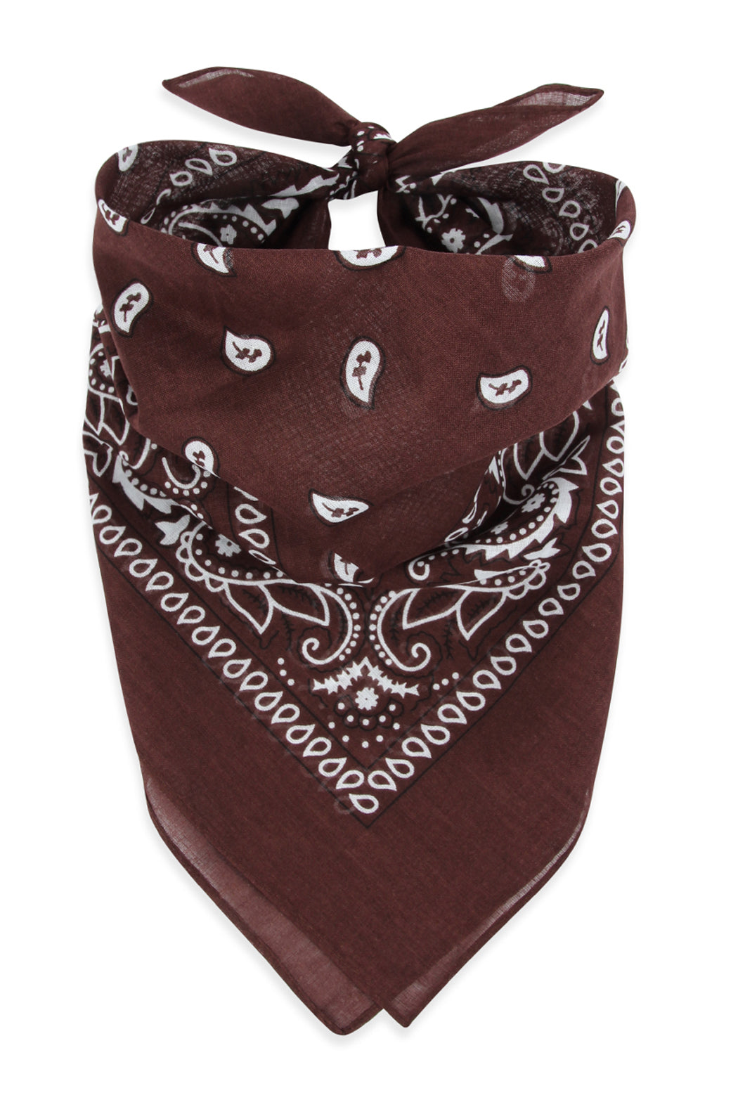 Paisley Print Bandana