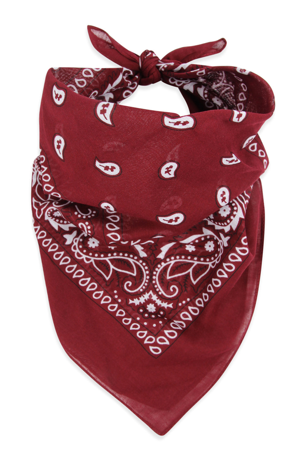 Paisley Print Bandana