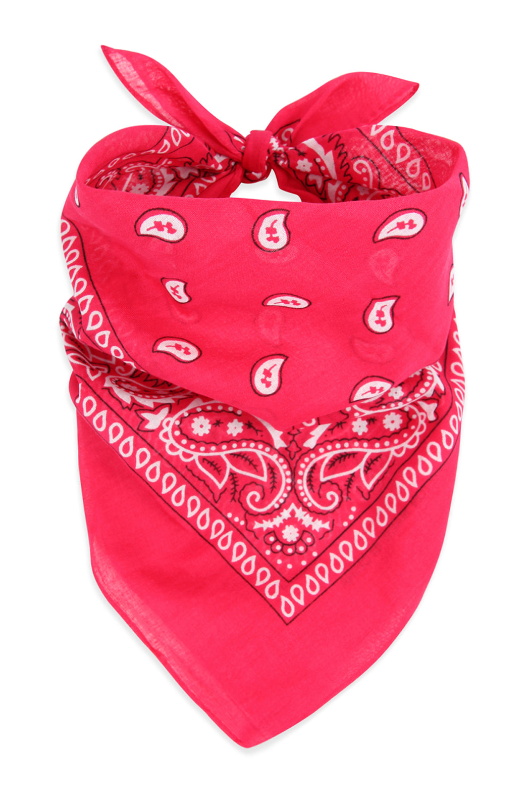 Paisley Print Bandana