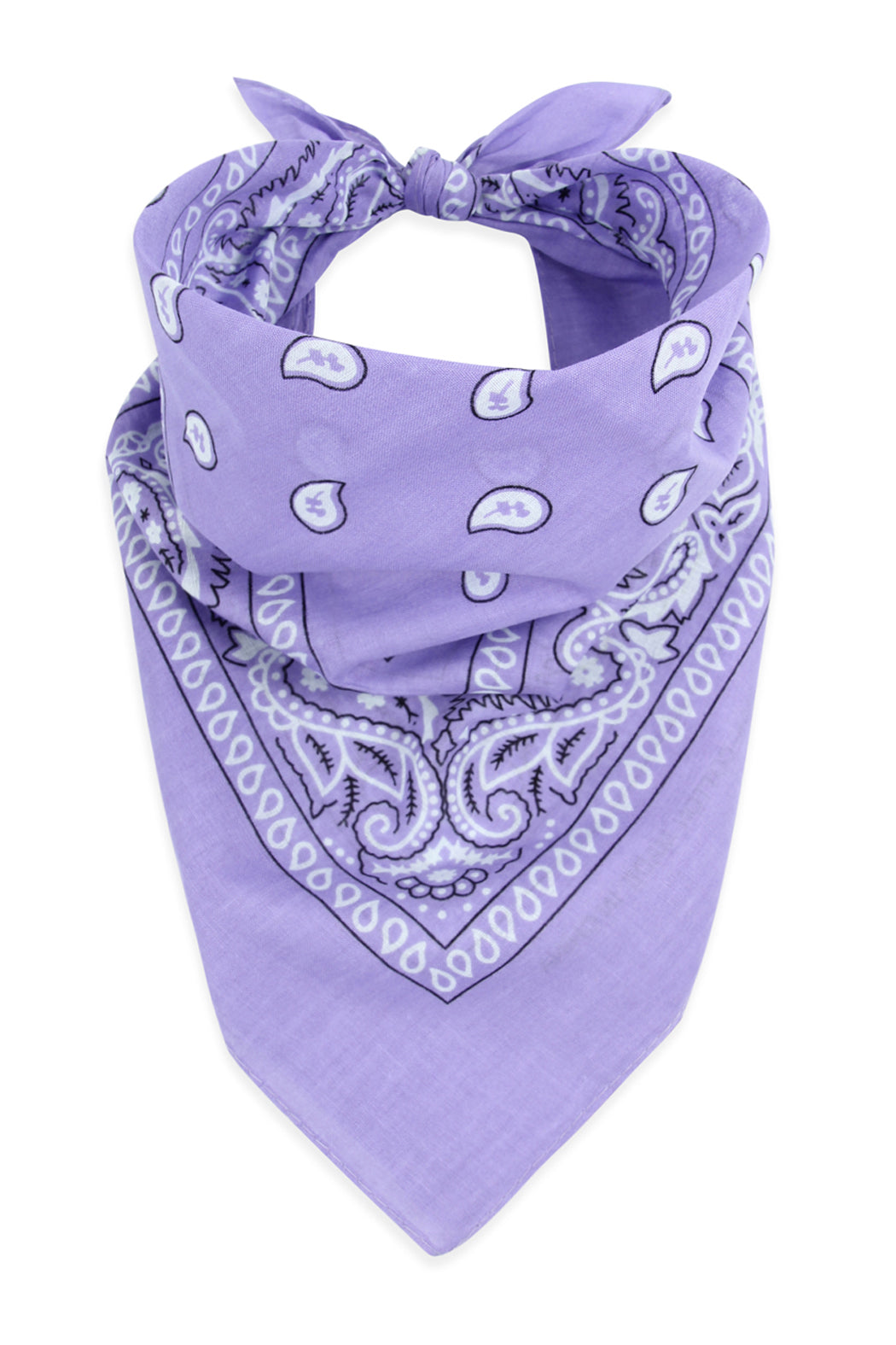 Paisley Print Bandana