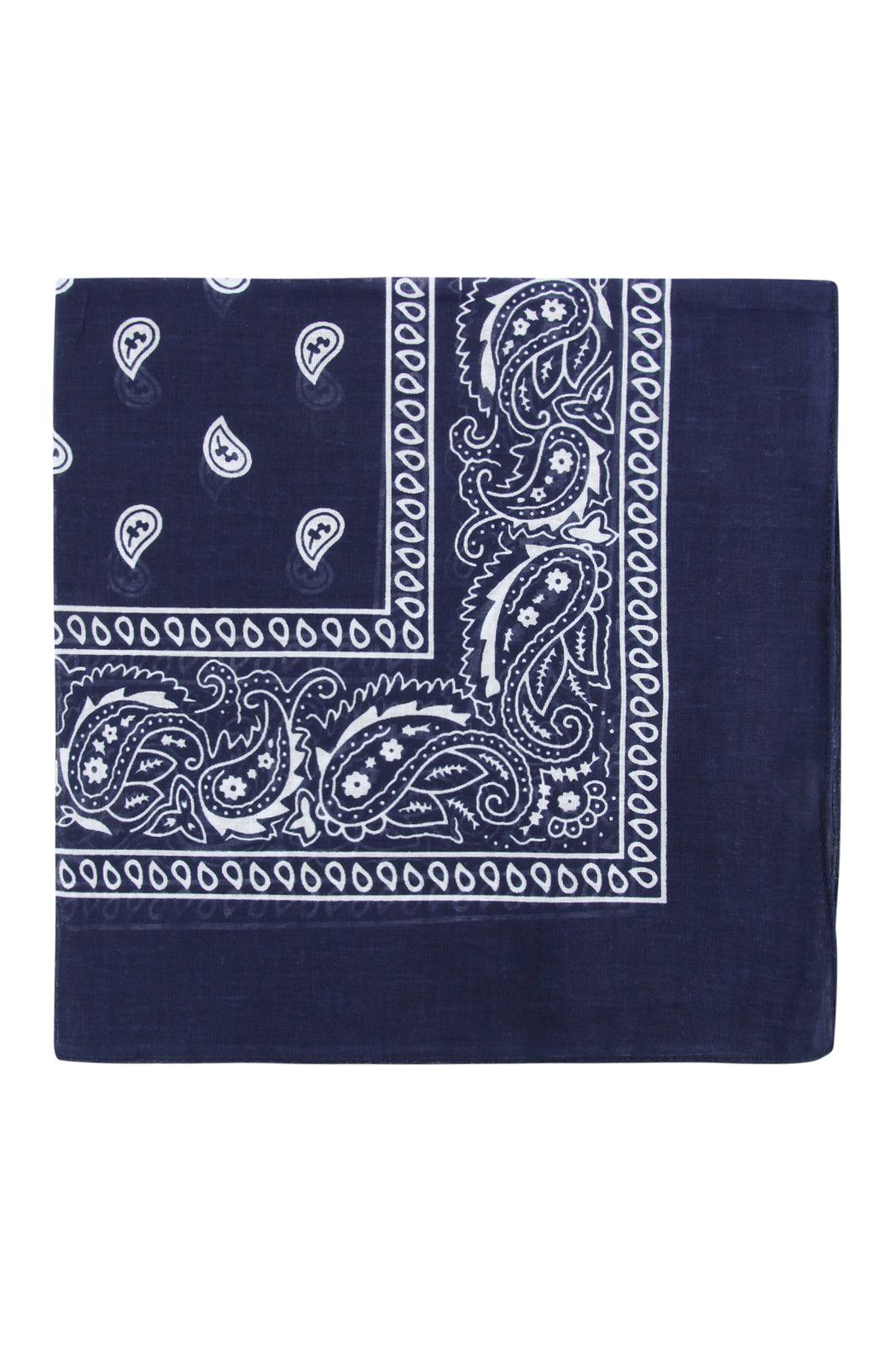 Paisley Print Bandana