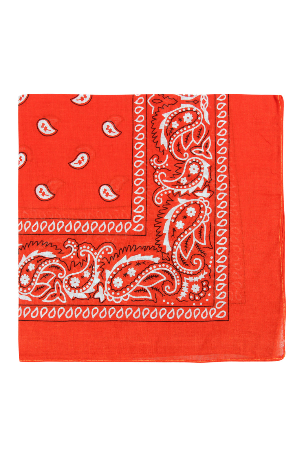 Paisley Print Bandana