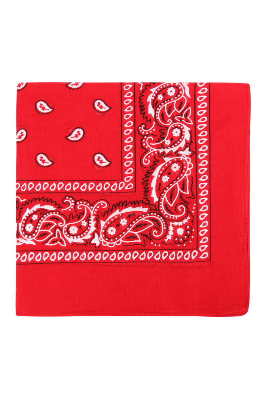 Paisley Print Bandana