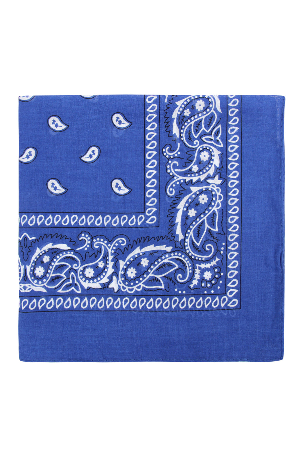 Paisley Print Bandana