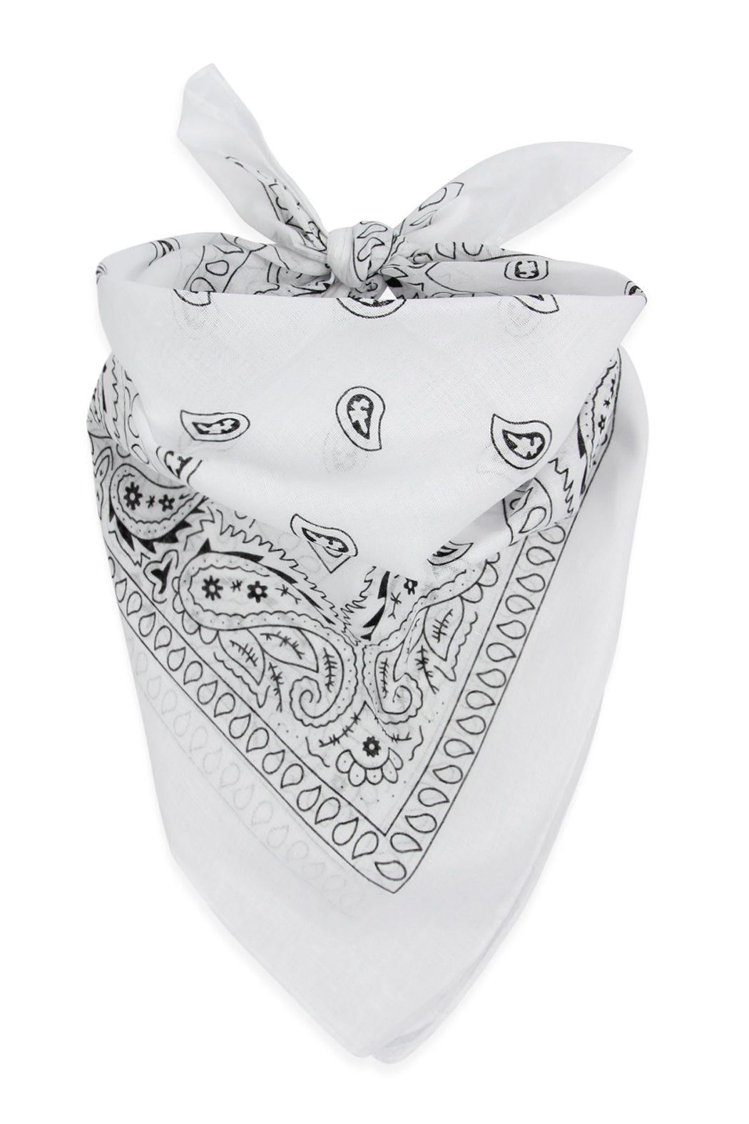 Paisley Print Bandana